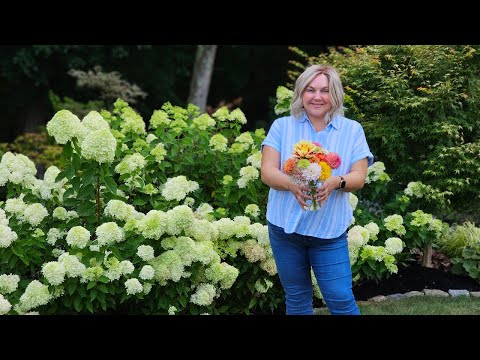 Watch my Husband Make Me a Cut Flower Bouquet. Garden Tour Dalmatian Peach Foxgloves are Blooming!