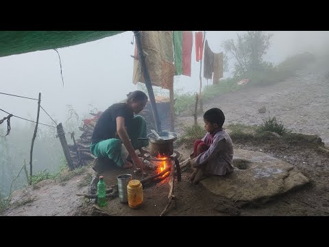 This is Himalayan Life | Shepherd Organic Food Cooking | Peaceful shepherd Life | Ep-350 | Village