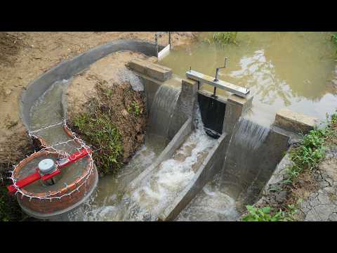 You Won't Believe What Happens When You Block Water to Build a Hydroelectric Plant