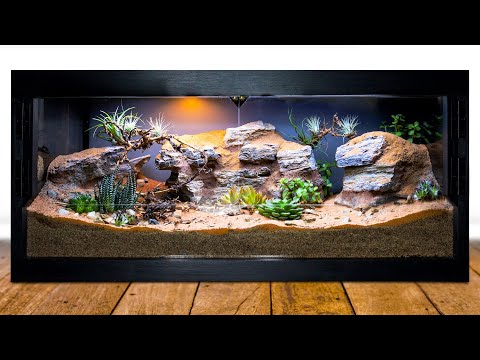 DIY Arid Desert Bioactive Vivarium for Blue Beetles