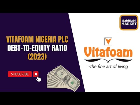 VITAFOAM Debt-To-Equity Ratio (2023)