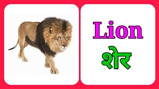 Animals Name | Wild Animals | जानवरों के नाम | Animals | @Kidz Magic