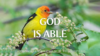 GOD IS ABLE | Instrumental Worship and Scriptures with Nature | Christian Harmonies