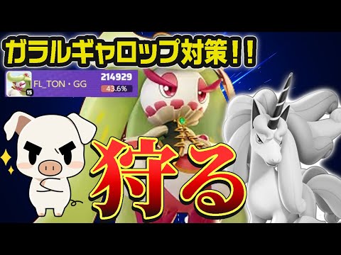 最強のガラルギャロップカウンター！”アマージョ”が今激アツです【ポケモンユナイト】【FENNEL】