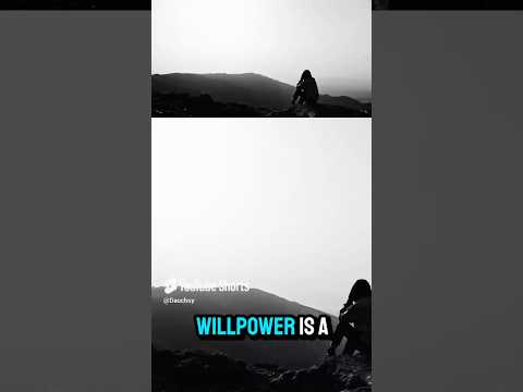 Why Willpower Doesn’t Work