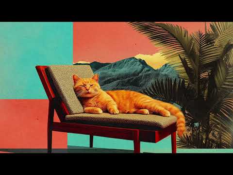 cat snoozing in the sun 📻 Lo-Fi Jazz & Soulful Hip-Hop 🎷