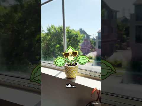 My plant tried to sunbathe... 🪴 #blender3d #creative #digitalart