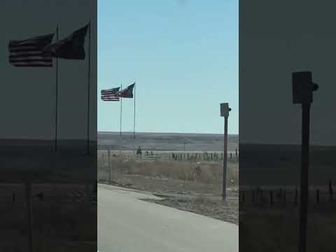 Flags | #america #usa #texas #usa #flags #shorts #short