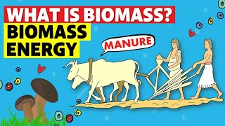 Biomass Energy