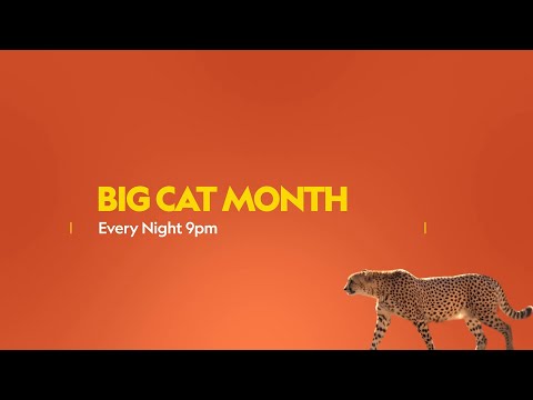 Legends of the Wild | Big Cat Month | Promo | National Geographic