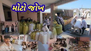 ગિરનાર ચાર નો જોખ || village life