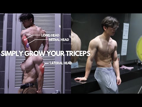 My Simple & Effective TRICEP Workout *FAST RESULTS*