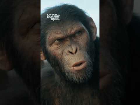 Kingdom of the Planet of the Apes I The Hunt