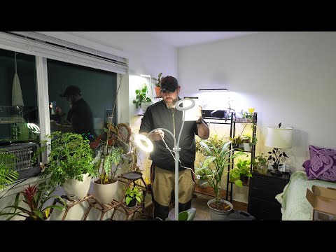 GLOWRIUM Grow Light with Stand,2-Head LED Plant Light