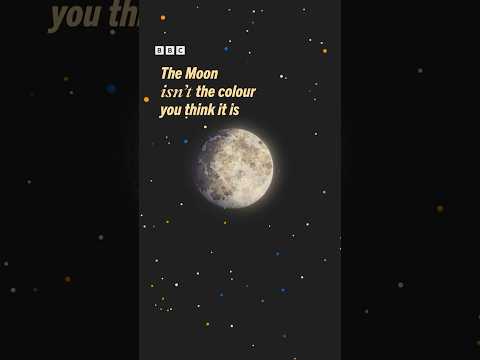 The Moon isn't the colour you think it is! #ThinkAgain #Shorts