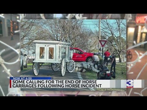 Horses fall pulling carriage, causing concerns