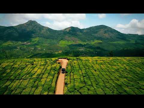 The Therapeutic Fields of Munnar | Kerala