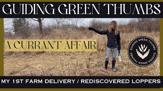 A CURRANT AFFAIR / FIRST FARM DELIVERY / REDISCOVERED LOPPERS