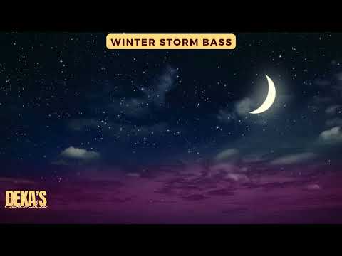 Winter Storm Bass - Pulse of the Era