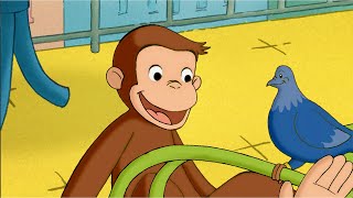 George Gets Stuck! 🐵 Curious George | Animal Friends