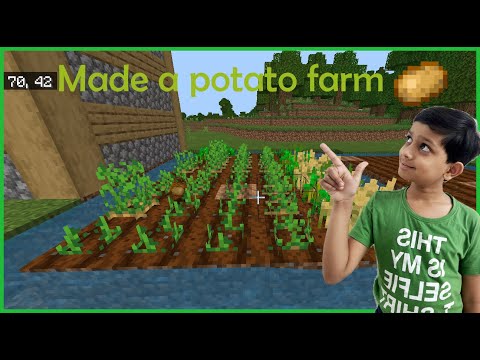 I became a farmer in Minecraft!