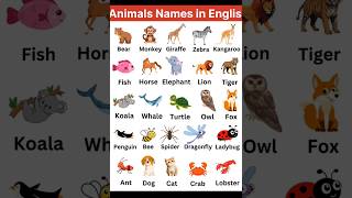 Animals Name | Animal Names in English | #animals #shorts