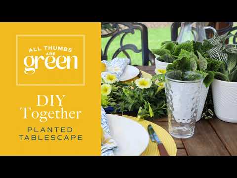 DIY Together - Tablescape - Costa Farms