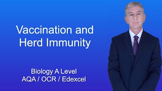 A Level Biology Revision "Vaccination and Herd Immunity"