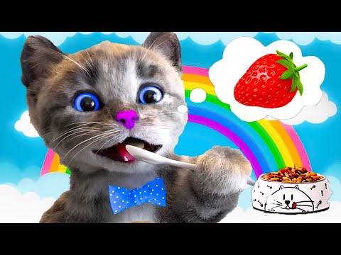 LITTLE KITTEN ADVENTURE - TODDLER VIDEOS EDUCATIONAL  - CAT PLAY FUN PET CARE VIDEO FOR PRESCHOOLERS