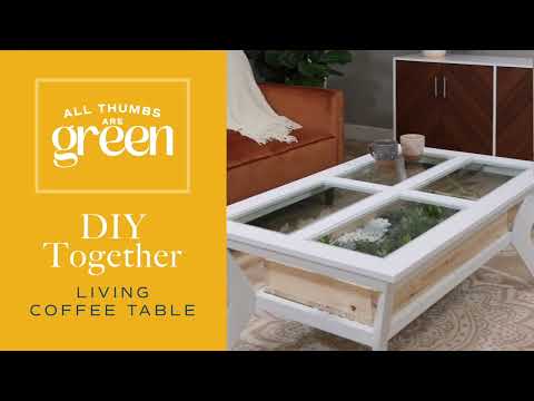 DIY Together: Make a Living Coffee Table  with Us - Costa Farms