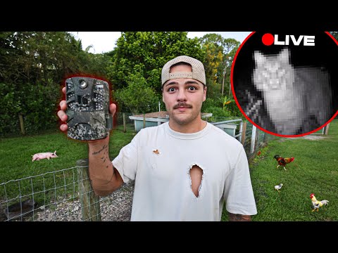 I put a LIVE CAMERA in my Backyard and FOUND THIS!!