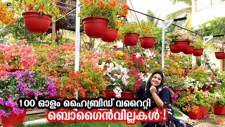 😲Malaysian bonsai bougainvillea കൊണ്ട് മൂടിയ ഈ വീടൊന്ന് കാണേണ്ടത് തന്നെ ! #bougainvillea