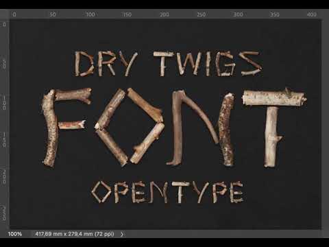 Dry Twigs Font