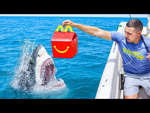 FISHING WITH FAST FOOD