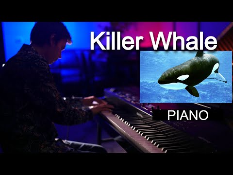 KILLER WHALE - Short Original Piano