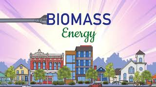 What is Biomass? A Renewable Energy Source that Puts Organic Waste to Use