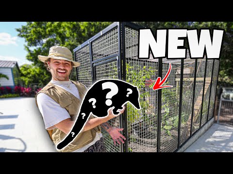 We Bought a EXOTIC ANIMAL for NEW Enclosure!!