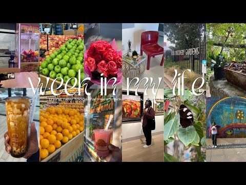 WEEK IN MY LIFE | TRYING NEW FOODS, FARMERS MARKET, ART MUSEUM, BUTTERFLY GARDEN & ETC