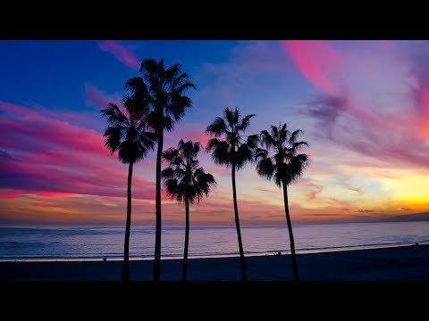 Travel Vlog Music (Ncv-No Copyright Vibes)