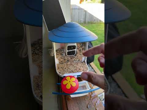 Dzees Smart Bird Feeder with Camera