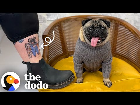 These Pet Tattoos Are Incredible — And Each One Tells A Story | The Dodo