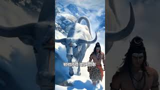 Hamshar hayat shiv bhajan song jo par kare naiya wo parvati maiya#viralvideo