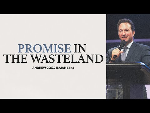 Promise in the Wasteland | Andrew Cox