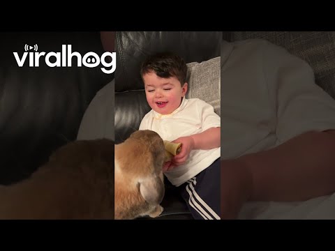 Boy Shares Banana With Bunny || ViralHog