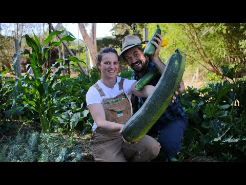 5 Delicious Zucchini Recipes from Our Homestead | Featuring a Giant Zucchini!