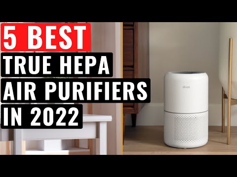 Top 5 Best True Hepa Air Purifiers In 2022