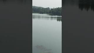 Khandarani lake | Jhargram tour #shorts#shortsvideo #jhargramtour #khandaranilake #lake