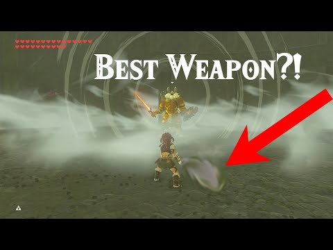 Best Weapon in Zelda VS Lynel