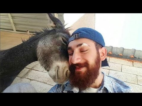 Love of Animals Moments That Will Cure Your Depression