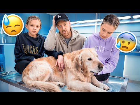 TAKING OUR DOG TO THE VET ANIMAL HOSPITAL 🚑 (GETTING ANSWERS)